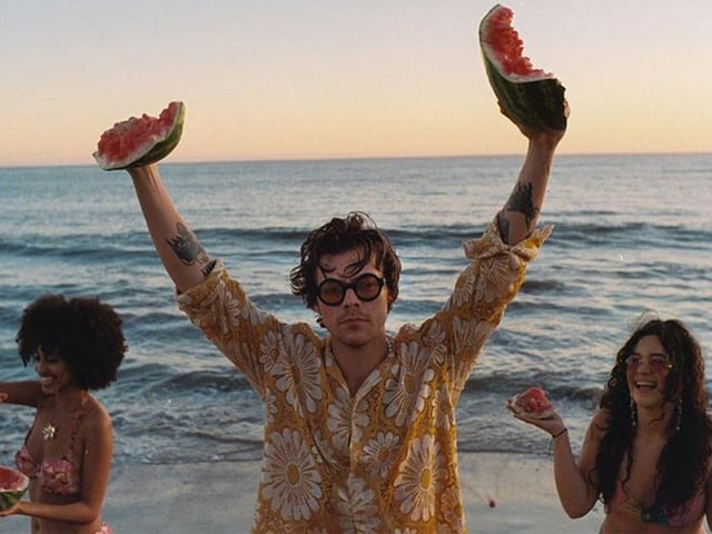 <p>Harry Styles wearing Gucci sunglasses in Watermelon Sugar</p>