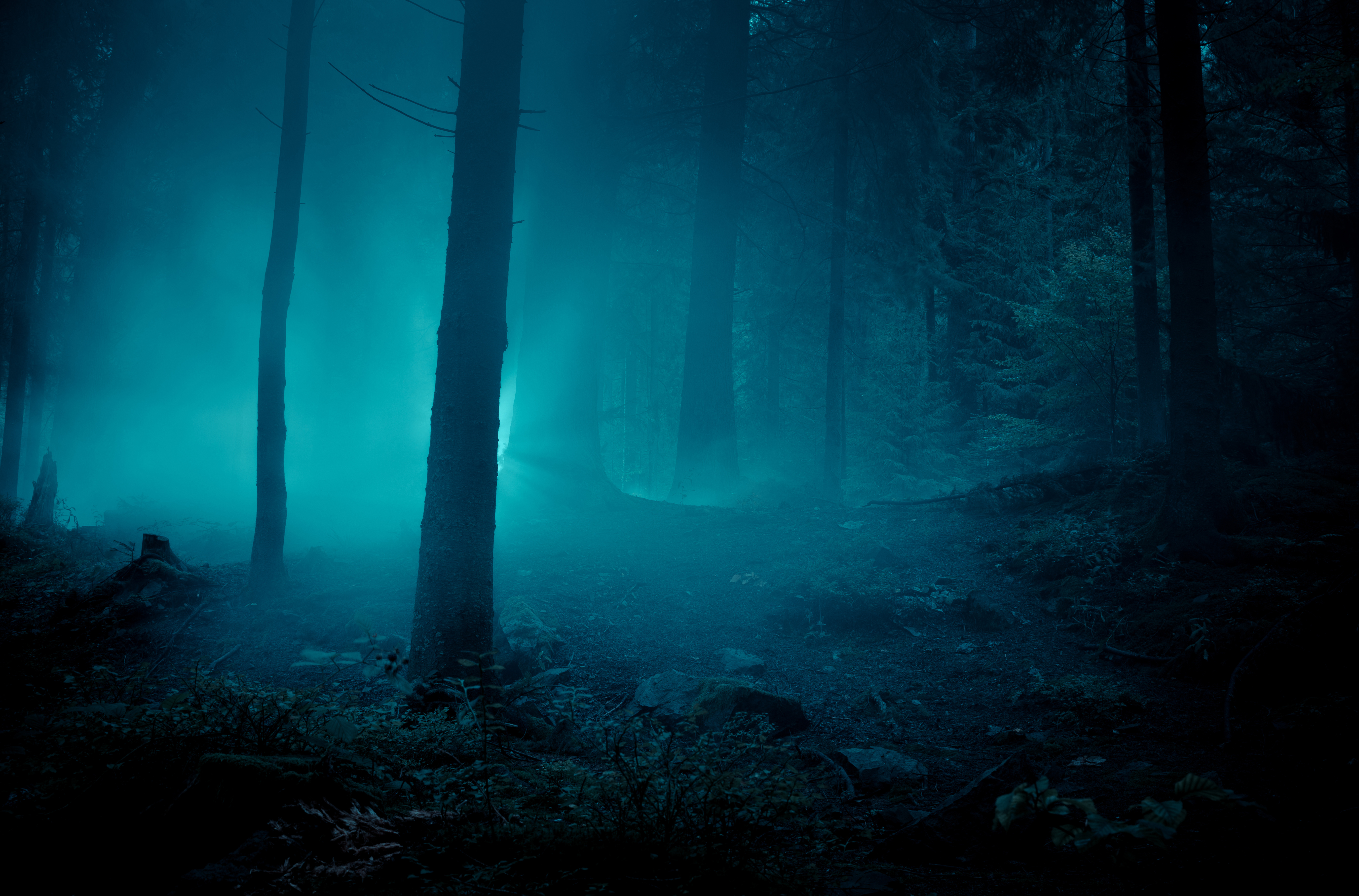Top five places in England with the most paranormal sightings
