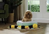 Aldi has launched an affordable pet range this month