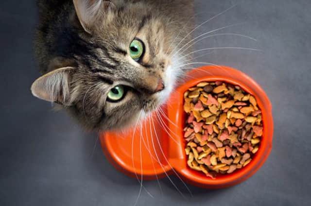 Why Whiskas cat food has disappeared from Tesco s shelves