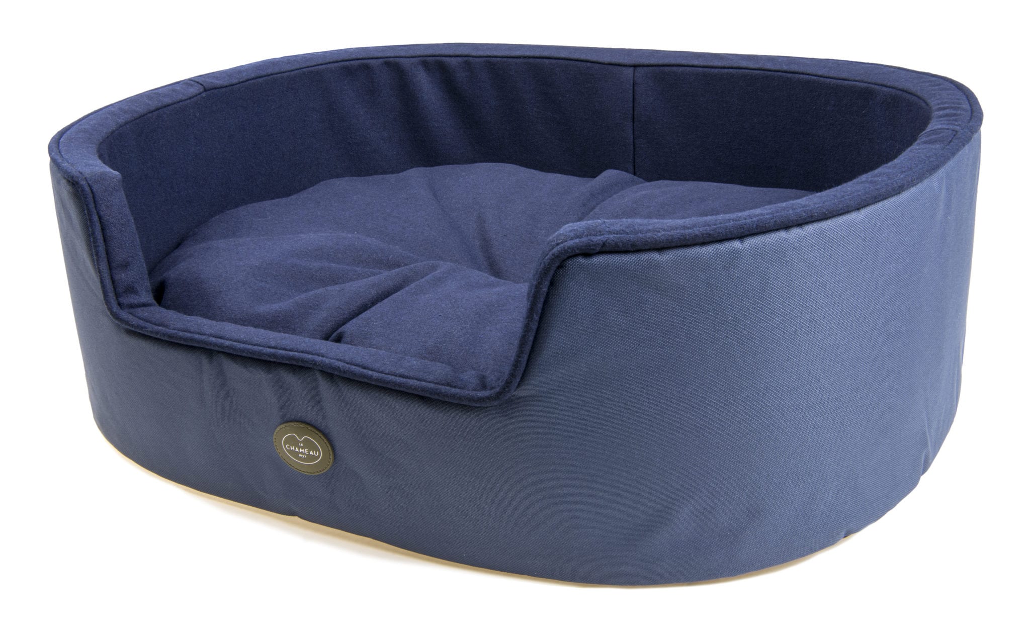 Wainwrights dog 2025 accessories