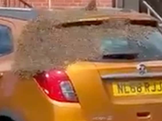  A three-day-old car was swarmed by thousands of bees, leaving its owner stunned. (SWNS)