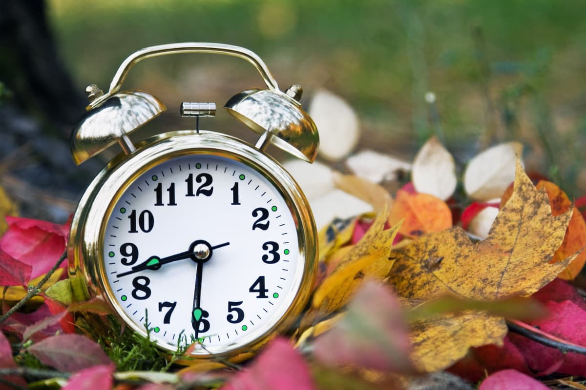 The exact date and time the clocks will go back in the UK in Autumn 2026 ...
