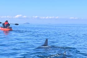 Ally Connell, 38, was only a mile from shore on a fishing trip when he saw a massive shark fin poking out of the water.