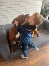 Dominic, 6, with his best friend XL Bully Wispa