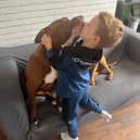 Dominic, 6, with his best friend XL Bully Wispa