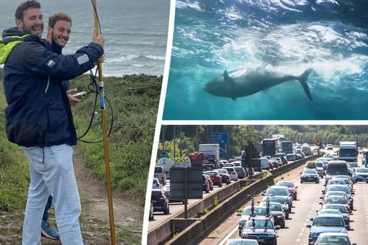 Scientists who satellite-tagged a tuna followed it up the M6 - after it was picked up by a tourist from Chorley. 