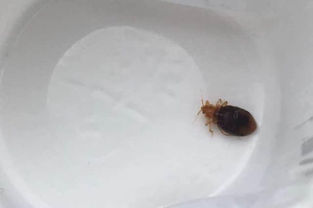 Sharon Haslam, 65, said the insects had left a “big red” blotch on her face and arms after staying at a Blackpool hotel and now fears the blemishes may “never go away”.