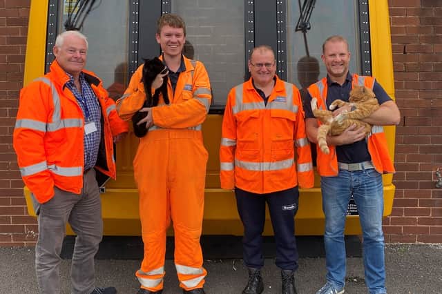 Northern colleagues Simon Crabtree, Matt Lodge with Max the cat, Gary Pennington and Steve Gordon with Ginge the cat