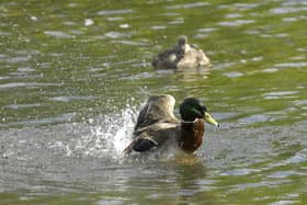 Five water pollution incidents were recorded by the Environment Agency in Blackpool between 2018 and 2022 (Credit: PA)