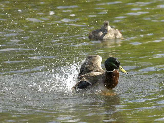 Five water pollution incidents were recorded by the Environment Agency in Blackpool between 2018 and 2022 (Credit: PA)