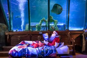 Scott Blacker spent his 16th Christmas Day at Blackpool Sea Life Centre (Credit: SeaLife Blackpool / SWNS)