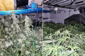 The cannabis production found at Fleetwood address