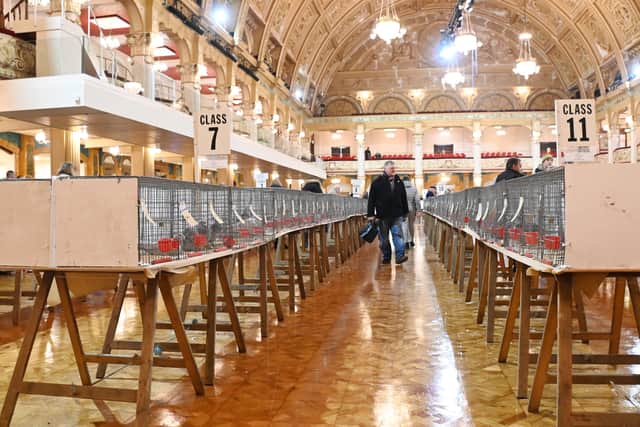 The Pigeon Fanciers Convention returns to Blackpool.
