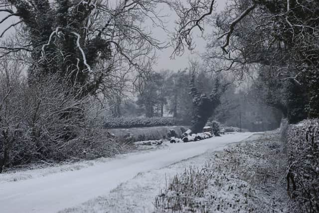 Snow in Whitestake, January 2024.