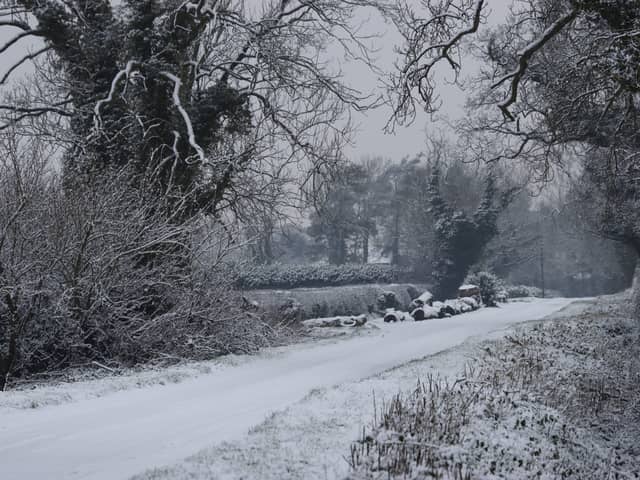 Snow in Whitestake, January 2024.