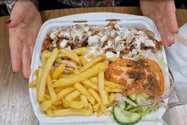 The mixed meat gyros main with fries, salad and extra garlic mayonnaise. Pitta bread lies underneath the meat.