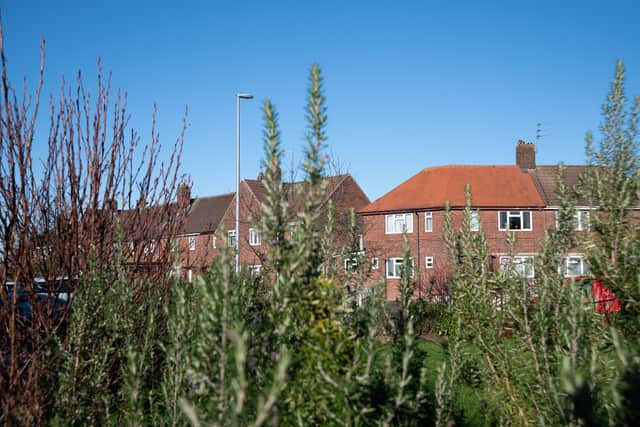 Grange Park was one of hundreds of housing estates built in Britain after the Second World War