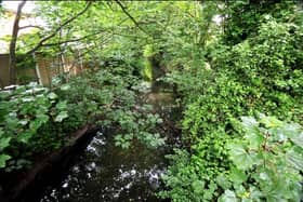 Liggard Brook, Lytham