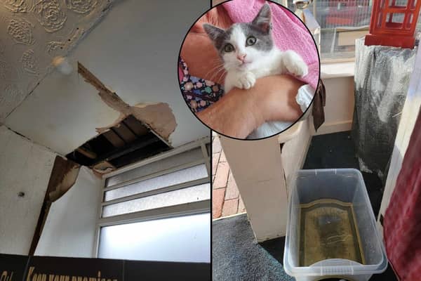 Tenderpaws Charity Boutique's roof has caved in