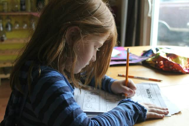 A growing number of parents are now choosing home education because they feel the current school system cannot meet the needs of their children (Credit: Jena Backus)