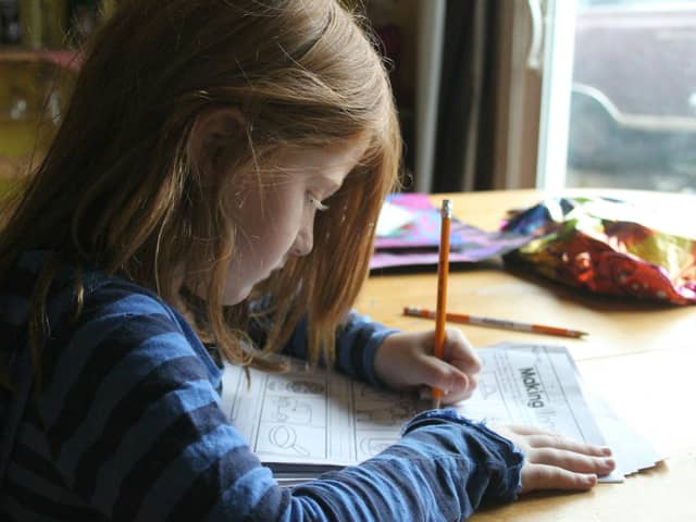A growing number of parents are now choosing home education because they feel the current school system cannot meet the needs of their children (Credit: Jena Backus)