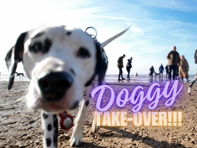 Dogs take over St Annes beach