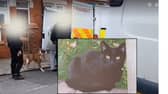 Dog seized: Cat killed weeks after savage attack on Jack Russell by dog roaming the streets. Inset: Sammy, 18, was brutally killed on Whitley Avenue in Blackpool.