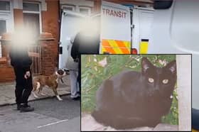 Dog seized: Cat killed weeks after savage attack on Jack Russell by dog roaming the streets. Inset: Sammy, 18, was brutally killed on Whitley Avenue in Blackpool.