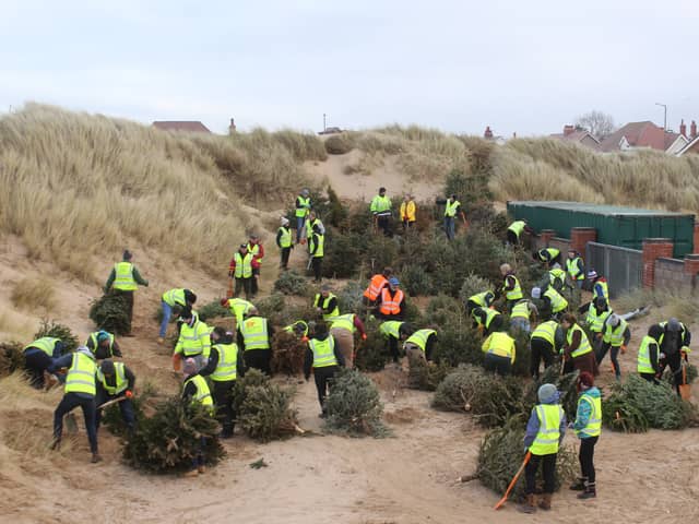Volunteers with the Christmas trees at North Beach car park in St Annes. 