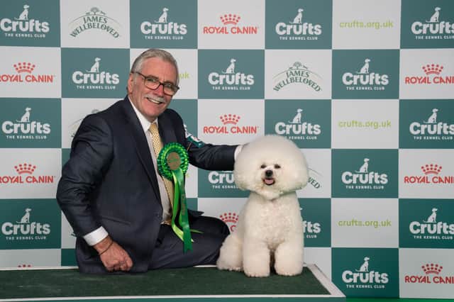 Crufts 2024 Preston Bichon Frise King claims coveted Best of Breed crown