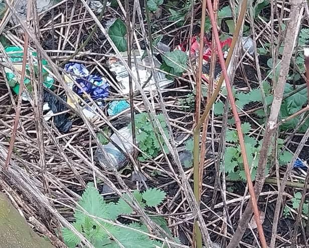 It is hoped to reduce litter