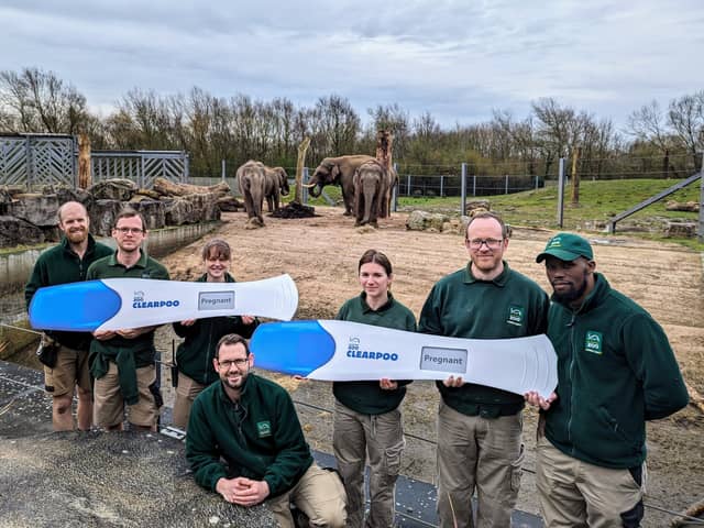 Blackpool Zoo keepers celebrating the wonderful news