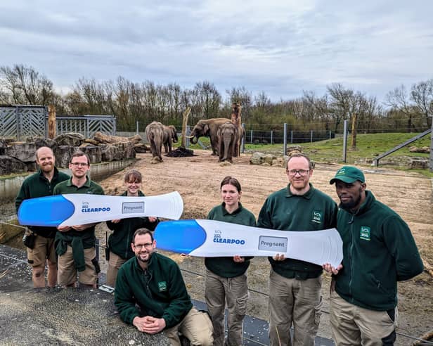 Blackpool Zoo keepers celebrating the wonderful news