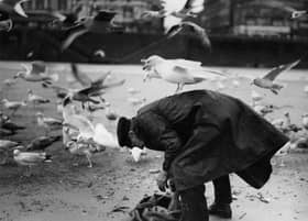 17th January 1934:  A member of the Blackpool lifeboat crew takes it upon himself to feed the local seagulls during the winter month