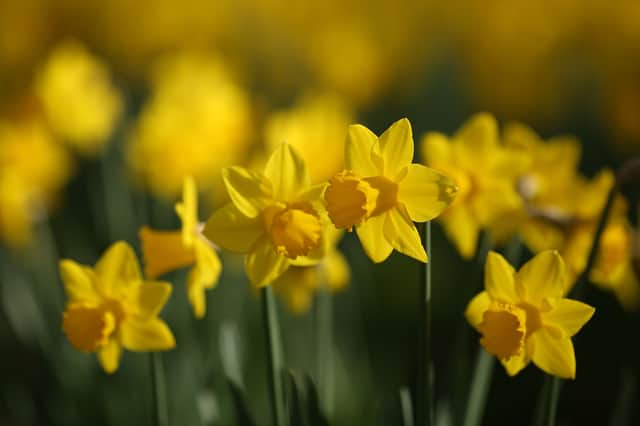 Supermarket opening times will vary over the spring holiday.