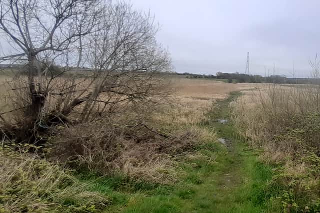 The site of Blackpool FC's proposed training ground on Steeton Road