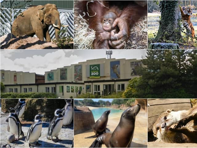 Blackpool Zoo has announced an exciting partnership with 