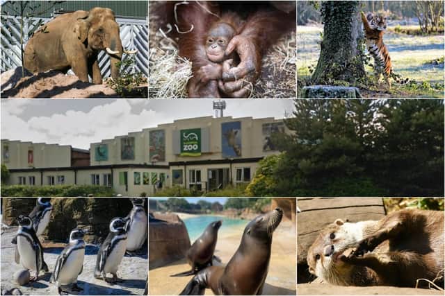 Some of the animals at Blackpool Zoo.