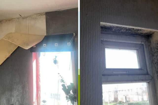 Inside Jade's mould infested home.