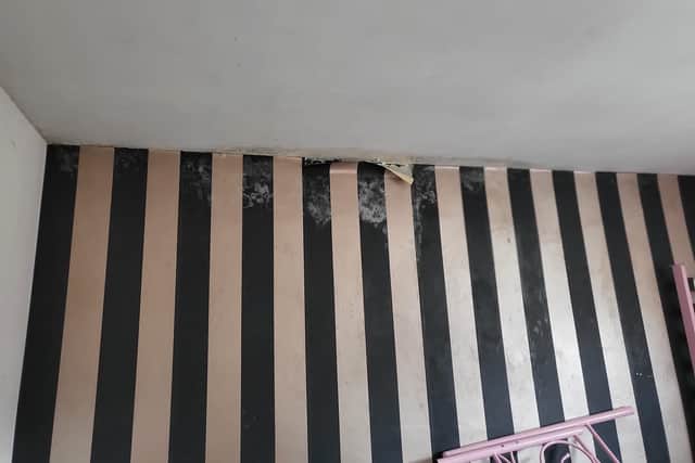 Inside Jade's mould infested home.