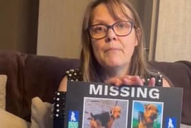 Lancashire has been named as the one of the UK’s top dog-napping hotspot with a shocking two dogs stolen every week. Catherine Bamber from Cleveleys is pictured with a missing picture of her dog Bear.