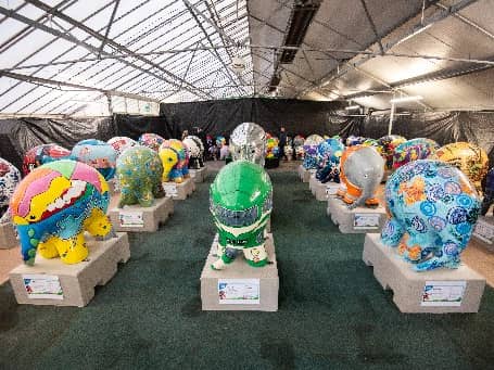 Preview of the elephants involved in Elmer's Big Parade Blackpool for Brian House Children's Hospice.