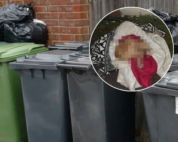 The upsetting discovery was made in a back alley between Chesterfield Road and Clevedon Road in Blackpool on Sunday afternoon