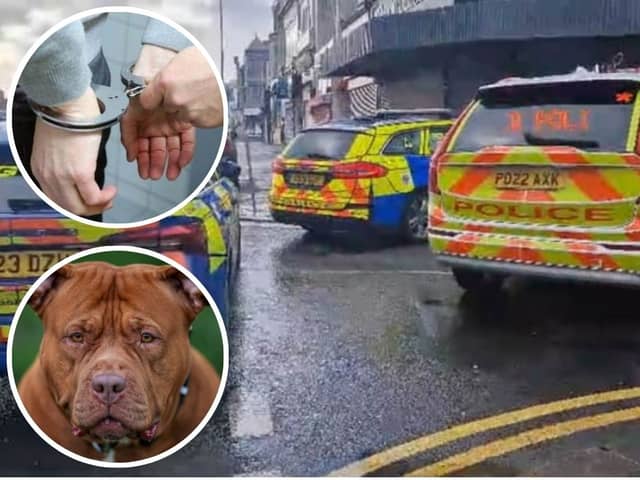 A man has been bailed following a suspected XL Bully attack in Blackpool. Credit: National World, Adobe and Getty