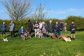 In a move to diversify their offering, a Lancashire Rescue and Rehoming Centre for horses has launched the Happy Hounds Breakfast Club.