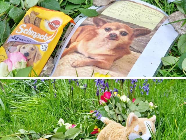 A memorial tribute held in a park for a beloved pet dog named Stan had Lancashire Fire and Rescue Service attend by accident. 