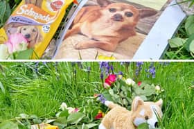 A memorial tribute held in a park for a beloved pet dog named Stan had Lancashire Fire and Rescue Service attend by accident. 