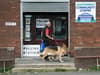 Video: Can I take my dog to polling stations when I vote in my local election