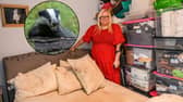 Rae Boxley, 51, has been trapped in her home by badgers but the council won't help because they are a protected specie